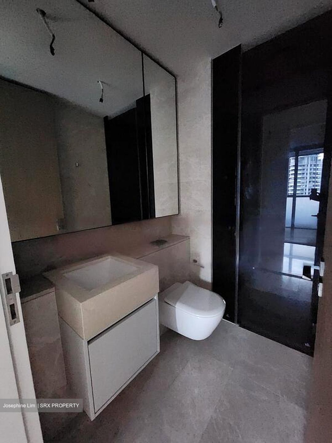 Amber Park (D15), Condominium #618288301